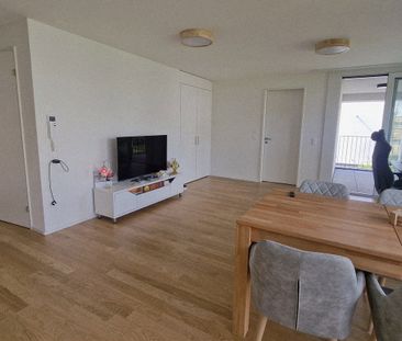 2.5 Zimmer, 56 m², 1. Stock - Photo 5