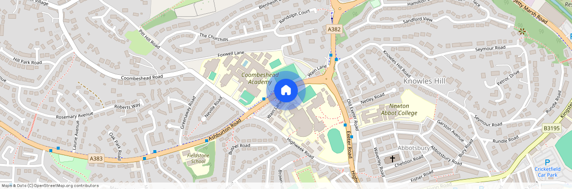 Wain Lane, Newton Abbot, TQ12