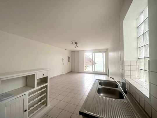 Centre ville Appartement 2 pièce(s) 48.68 m2 - Photo 1