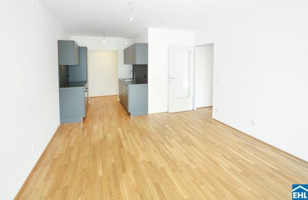 DER BALLON - ANKOMMEN UND ABHEBEN - NATURNAHES WOHNEN NAHE DER SEESTADT ASPERN - Photo 3