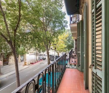 Carrer de Calàbria, Barcelona, Catalonia 08015 - Photo 2