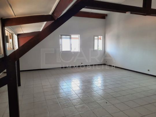 Location Appartement 1 pièce 58m² CAYENNE 97300 - Photo 1