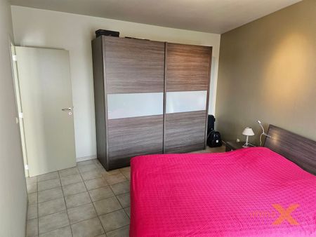 Appartement te Lovendegem - Photo 4
