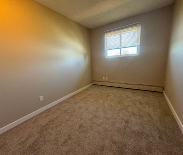 Spacious 2 Bedroom Cat Friendly Suite in Clearview! - Photo 3