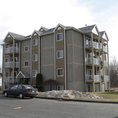 5 1/2 rénové demi sous sol bien éclairé dans 12 logements - Photo 4