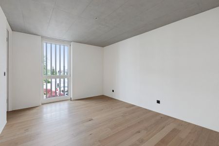 3 ½ Zimmer-Wohnung in Heerbrugg mieten - Foto 5