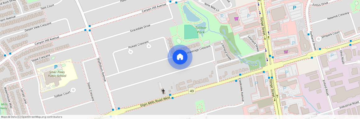 119 Cooperage Crescent, Richmond Hill