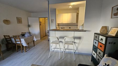 Location Appartement 1 pièce 28m² FONTAINEBLEAU 77300 - Photo 5