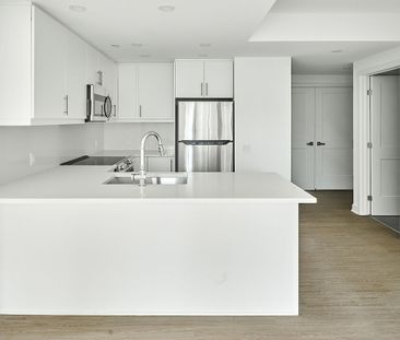 383 Albert Street, Centretown, Ottawa, ON - Photo 5