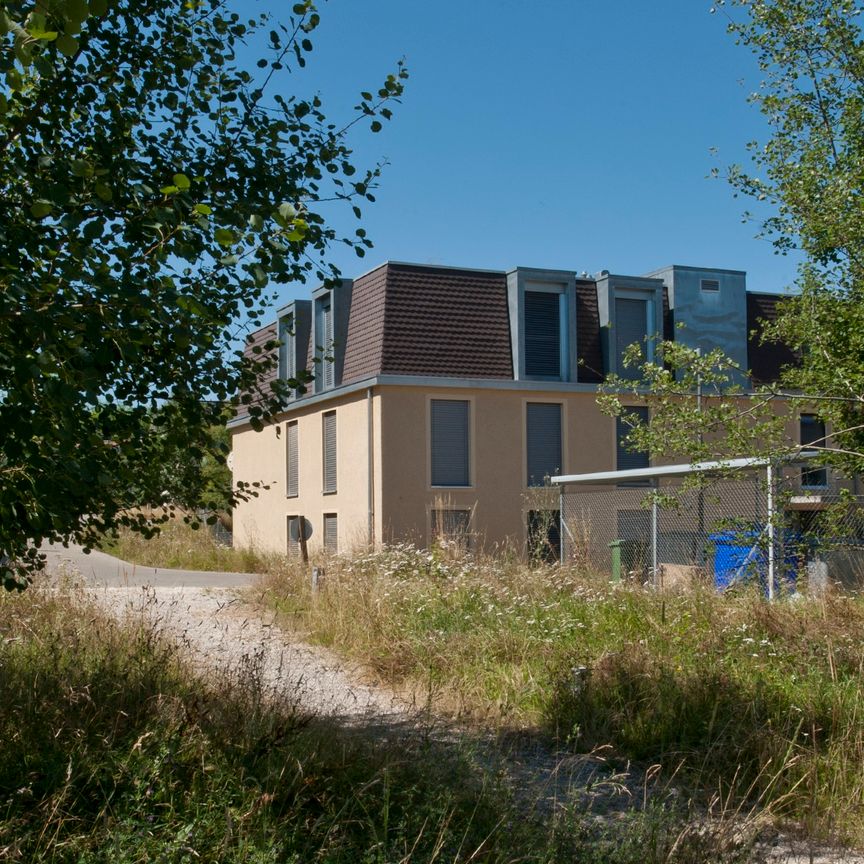 Ruhig gelegene Wohnung mit direktem Zugang zur Natur - Photo 1