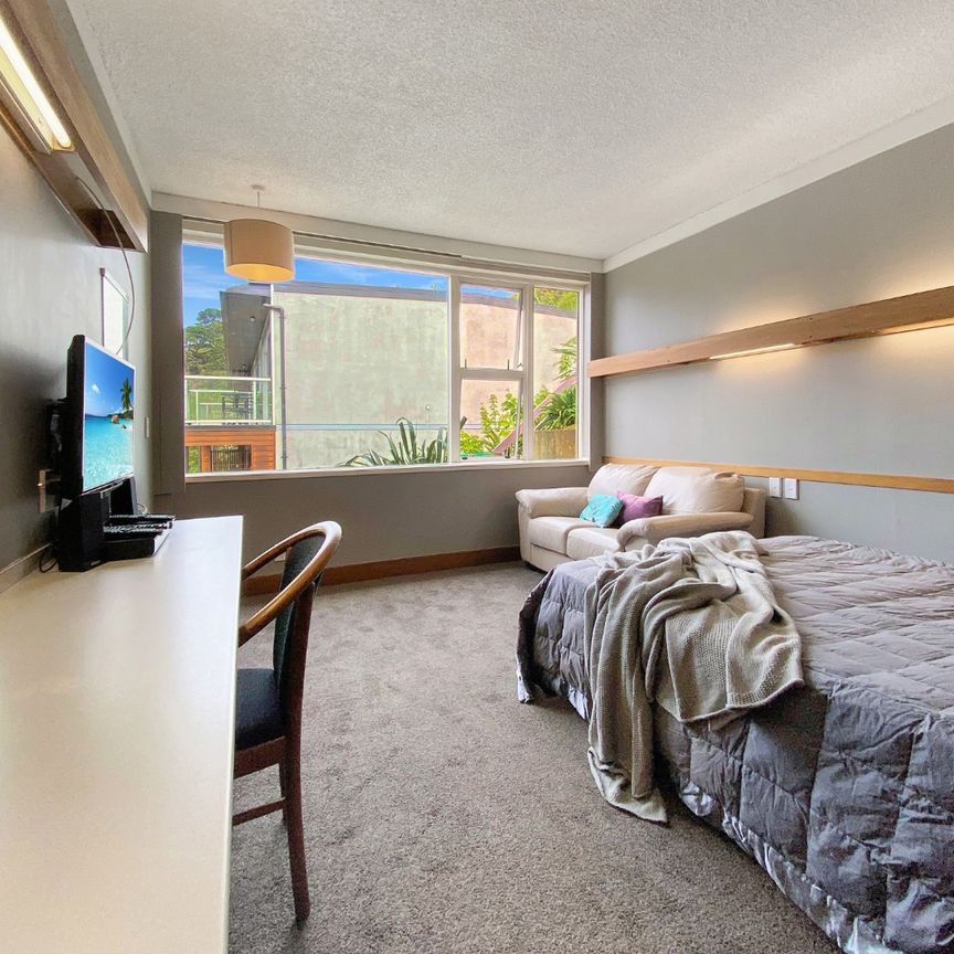 Welcome to apartment 211 in Sharella Studios - Photo 1