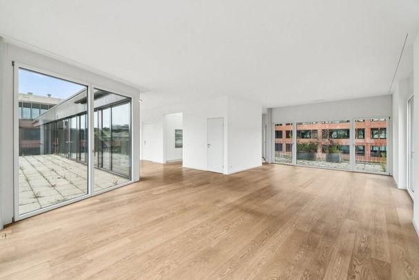 Exklusive 3.5-Zimmer-Attika im Herzen von Zürich-Enge - Photo 1
