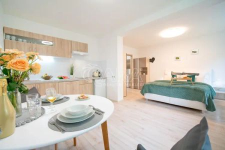 Dlouhodobý pronájem apartmánu 2+kk, Jeseníky Mýtinka (5 min od Jeseníku) - Fotografie 2