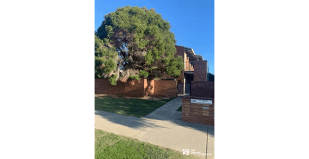 ALL YOU COULD ASK FOR !!! - Photo 5