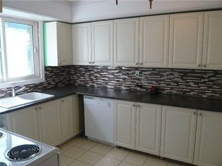 For Lease - 26 Maryvale Crescent, Richmond Hill, Ontario - Photo 4