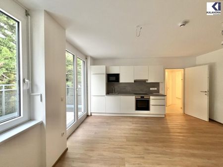 360° TOUR // TERRASSEN ERSTBEZUG WOHNUNG / FIRST LETTING BALCONY APARTMENT - Foto 3