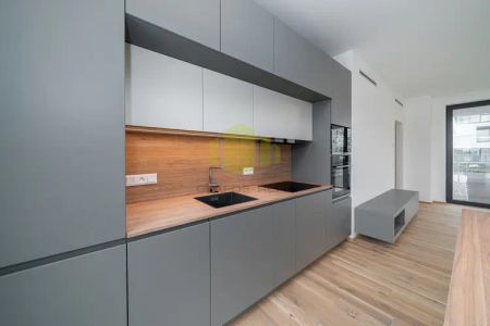 Pronájem luxusní novostavby bytu 3+kk 94,6 m - Fotografie 2