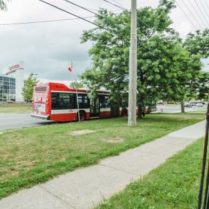 For Lease - 103 Spring Forest Square Unit# BSMT, Toronto, Ontario - Photo 2