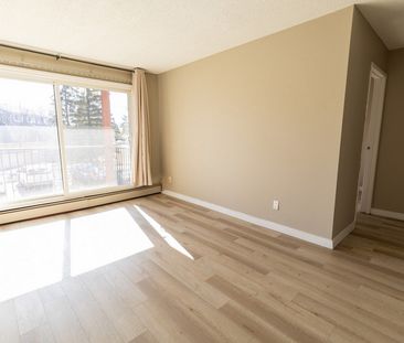 Airdrie Meadows - Photo 3