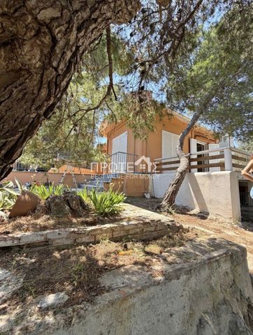 Μονοκατοικία για ενοικίαση - Ραφήνα, - Photo 4