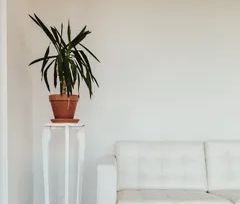 1 room apartment of 60m² in Quebec - Photo 1