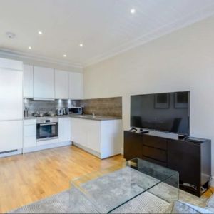 ONE BEDROOM FLAT HAMMERSMITH - Photo 2