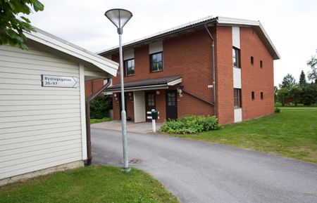 Brännsvedjevägen, Kåge - Photo 5