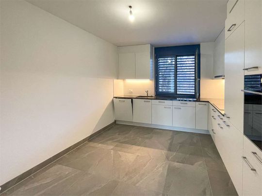 Elegant renovated 4.5-room apartment with a terrace in Breganzona - Photo 1