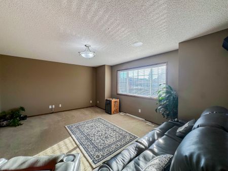 Spacious Home With Finished Basement And Backyard – Quiet Street In New Brighton - Photo 2