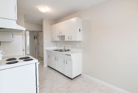 1 Bedroom - Photo 4