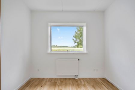 Velkommen til Store Grundet Alle! - Foto 3