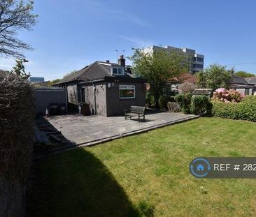 4 bedroom semi-detached house to rent - Photo 3