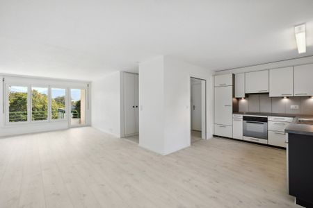 APPARTEMENT À LOUER DANS QUARTIER TRÈS ENSOLEILLÉ ET FAMILIAL - Photo 2