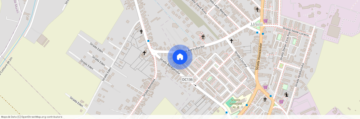 Mures, Targu Mures