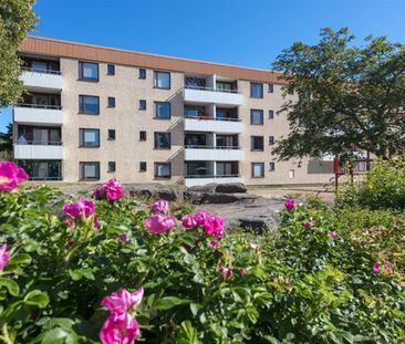 Vilbergsgatan 121 - Photo 6