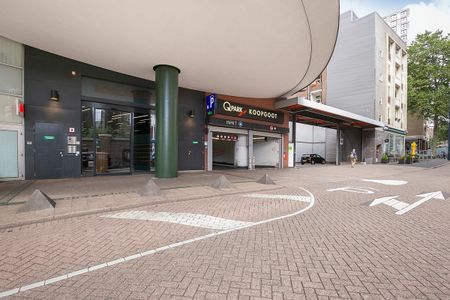 Bulgersteyn 7131 - Photo 5
