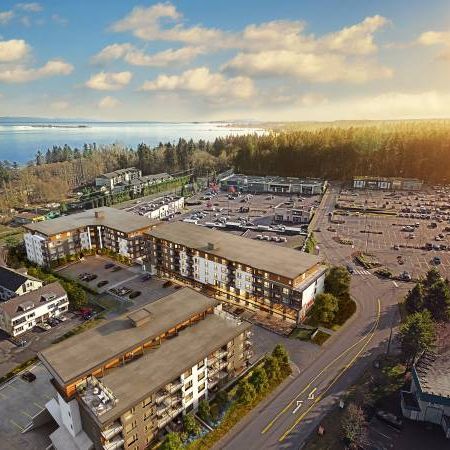 ***Spring Special! All-Inclusive: Junior 2 Bedroom Suite*** - Photo 3