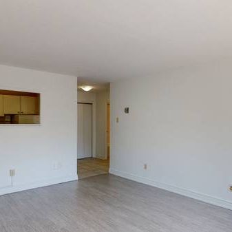 Modern 1-Bedroom Apartment for Rent – Pet Friendly – Feb 1st - Photo 4