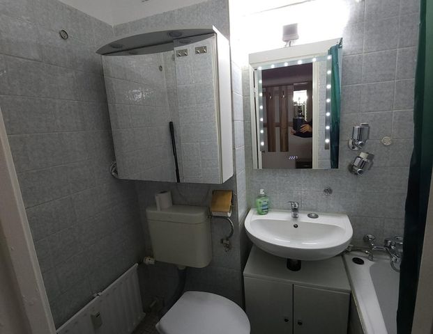 1 Zi Wohnung vollmöbliert Zentrumnah 5 min bis S/U-Bahn Giesing - Foto 1