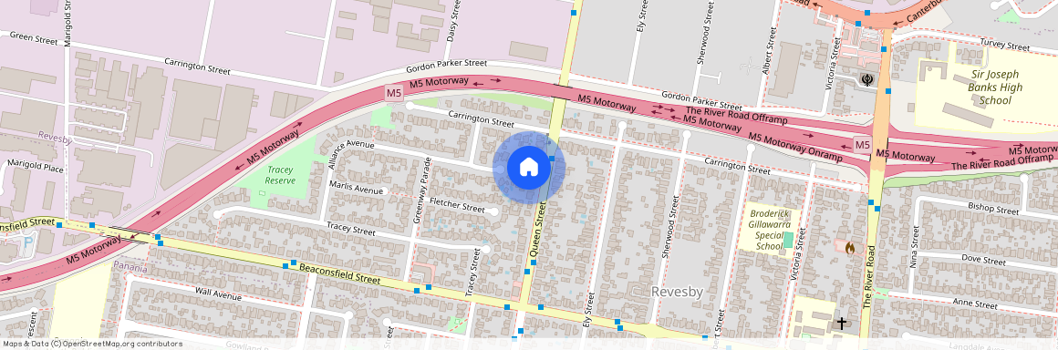 78 Queen Street, NSW 2212, Revesby