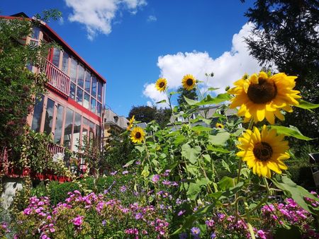 41/2 ZI-WOHNUNG IN ZÜRICH - KREIS 7 FLUNTERN, FURNISHED, TEMPORARY - Foto 4