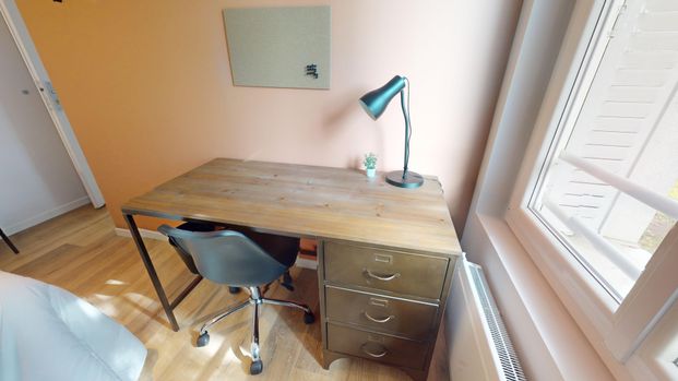 BLANZAT G Roommate 3 Bedrooms at Clermont Ferrand - Photo 1