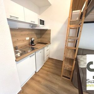 Location Appartement 1 pièce 23m² GRENOBLE 38000 - Photo 2
