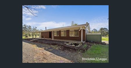 Rare Family Opportunity with Acreage - Photo 4