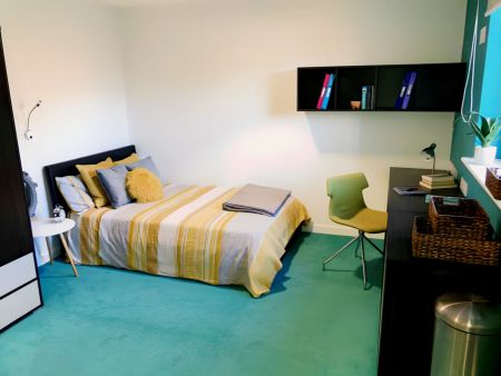 Premier Luxe Studio - Photo 4