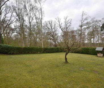 3 bedroom cottage to rent - Photo 6