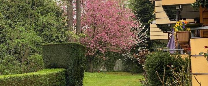 Wohnen in bester Citylage - 2,5 Zimmer mit Südbalkon 57 qm - Photo 1