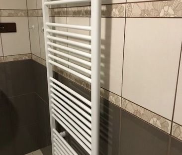 Pronájem bytu 1+kk a garsoniéry 27 m² - Fotografie 4