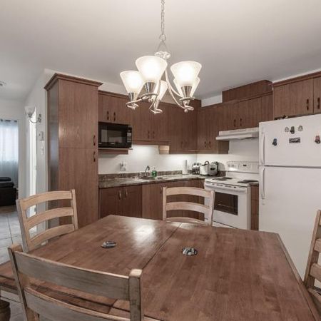 Appartement 4 ½ à louer Lévis juillet 2026 - Photo 4