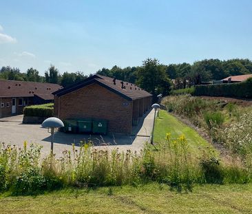 Pilevej 126, Glyngøre, 7870 - Photo 4